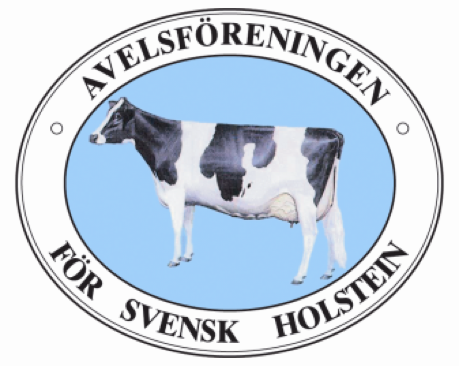 Holstein