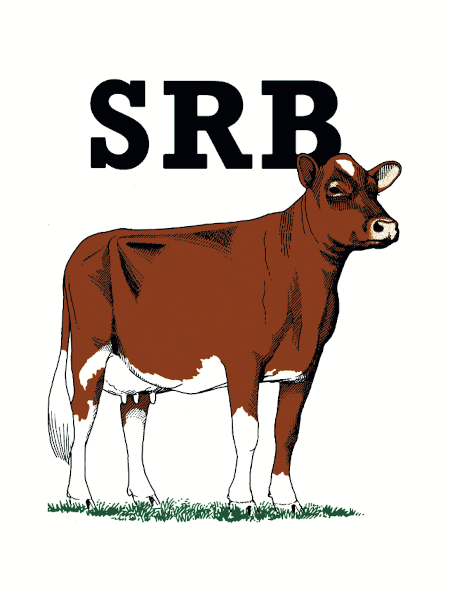 SRB